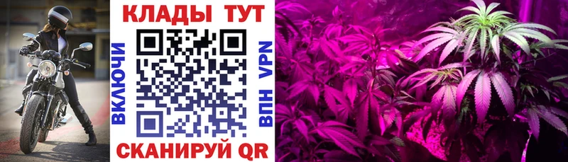 Где можно купить наркотики Зарайск MDMA  Мефедрон  Лсд 25  APVP  АМФ  Марихуана 