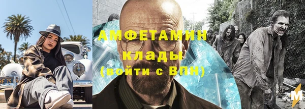 прущие грибы Новочеркасск
