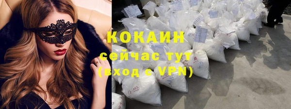 шишки Домодедово