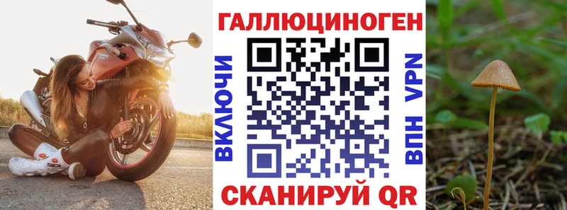 купить закладку  Зарайск  Псилоцибиновые грибы Cubensis 